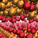 Nano-Scale Heat Transfer